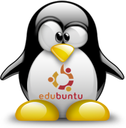penguin pingouin pinguino 922